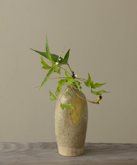 季節の野の花ーおまかせ便Mー