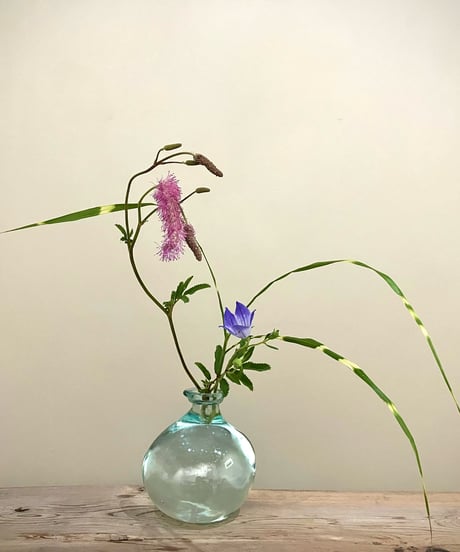 季節の野の花定期便Mサイズ-3回コース-