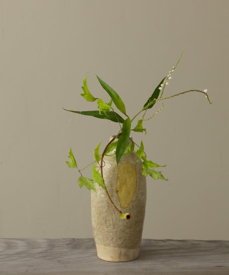 季節の野の花ーおまかせ便Lー