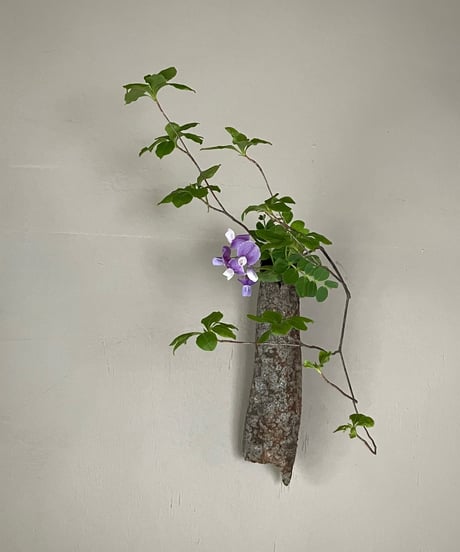季節の野の花定期便Mサイズ-3回コース-