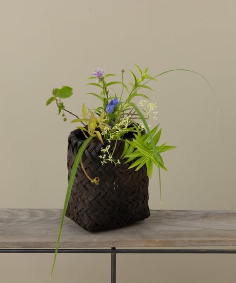 季節の野の花ーおまかせ便Mー