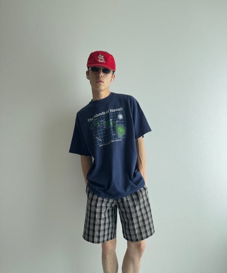 10s Dickies Plaid Shorts