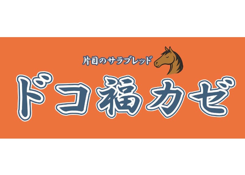 ドコフクカゼ応援タオル | 片目のサラブレッド福ちゃん
