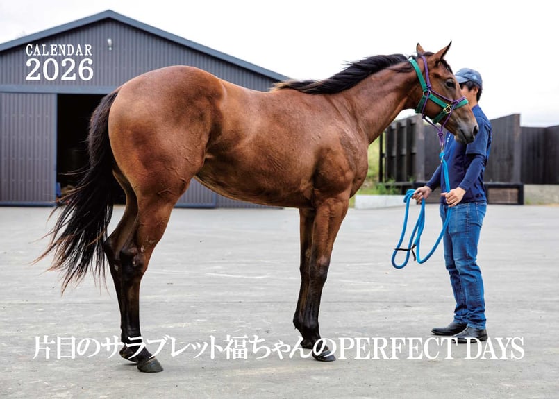 福ちゃんカレンダー2026＆ポチ袋（5枚） | 片目のサラブレッド福ちゃん