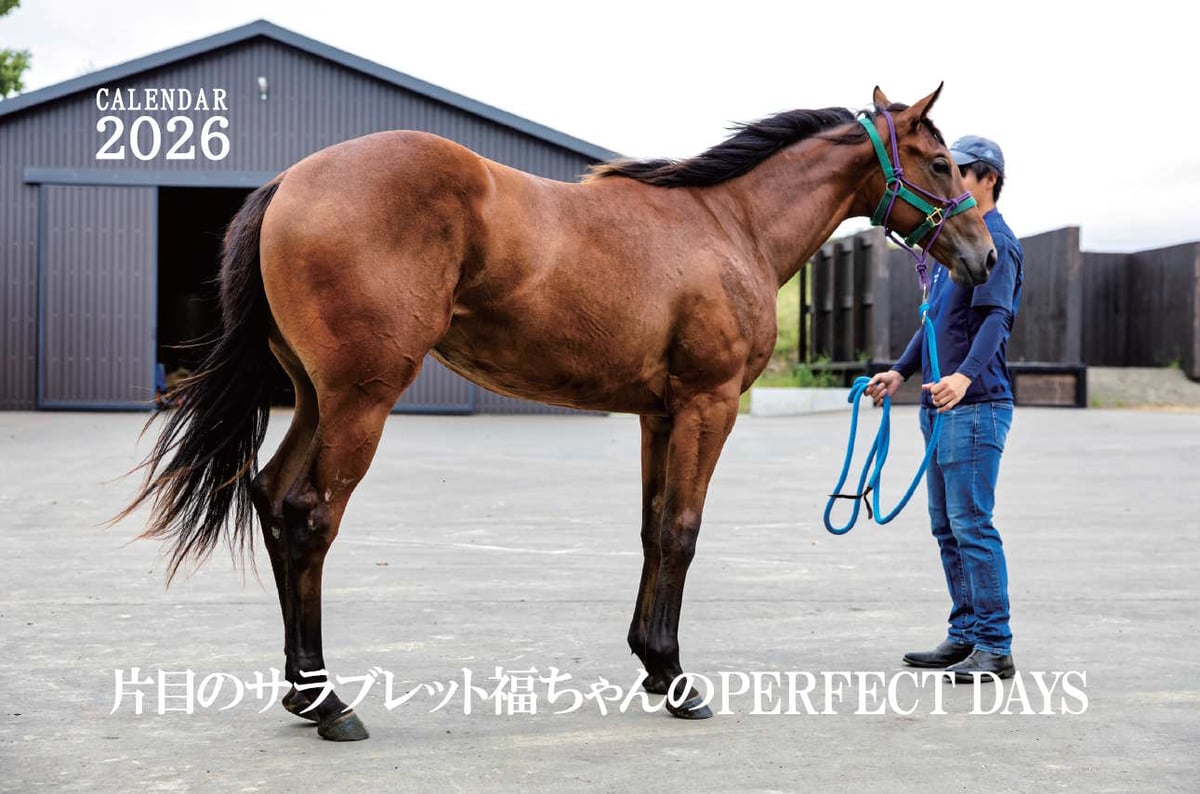 ピュウチャン様　/thoroughbredサラブレットネイビー/巾着Lサイズ 福ちゃんカレンダー2026＆ポチ袋（5枚） | 片目のサラブレッド福ちゃん