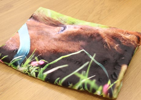 ITEM | 片目のサラブレッド福ちゃん