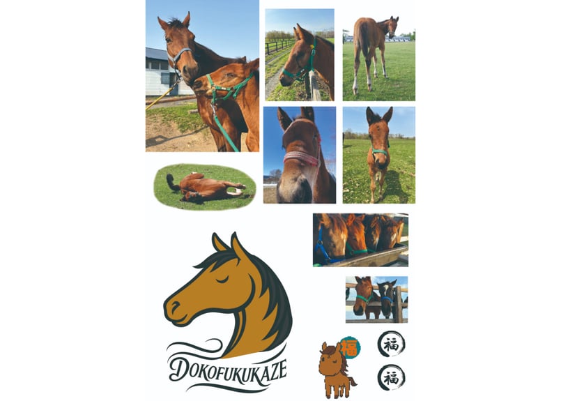 福ちゃんオリジナル手帳2026（ドコフクカゼ命名記念限定品） | 片目の