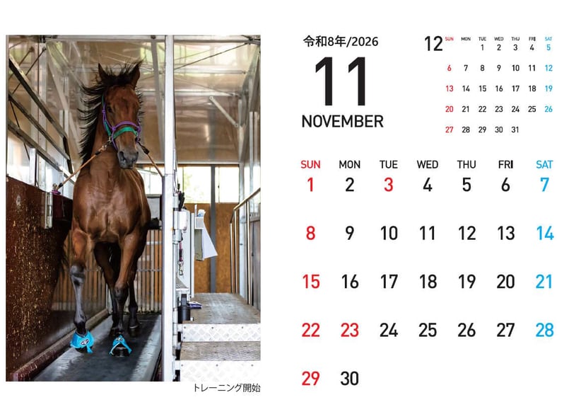 福ちゃんカレンダー2026＆ポチ袋（5枚） | 片目のサラブレッド福ちゃん