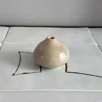 不悉洞 | 一輪挿し