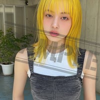 AI画像（１オーナー）