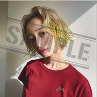 AI画像（１オーナー）