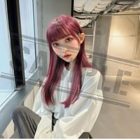 AI画像（１オーナー）