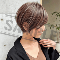 AI画像（１オーナー）