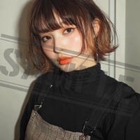 AI画像（１オーナー）