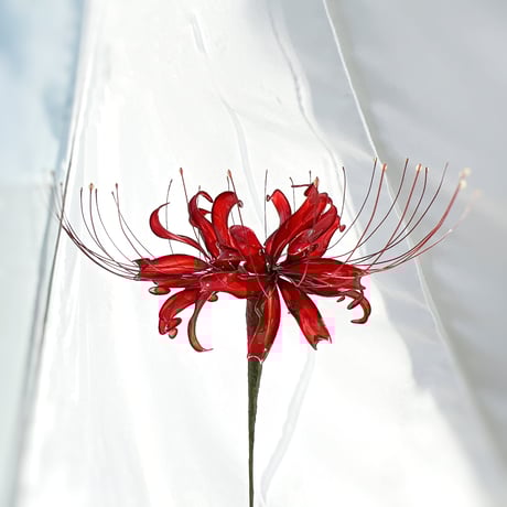 CATEGORY 赤【愛情、情熱、勇気】 | Cuore