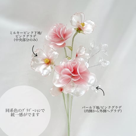 カラーチャート/色見本
