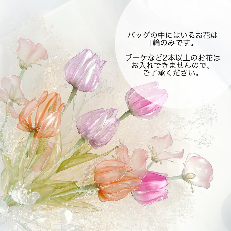 67f545a3925366cfe6a281e7