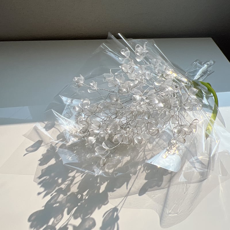 単品販売】かすみ草 1本 f3004 | Cuore