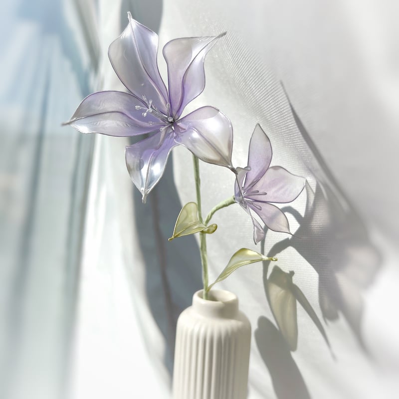 桔梗ページ 4960599310187_01.jpg