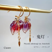 鬼灯　朱紫(半フープ)p1136