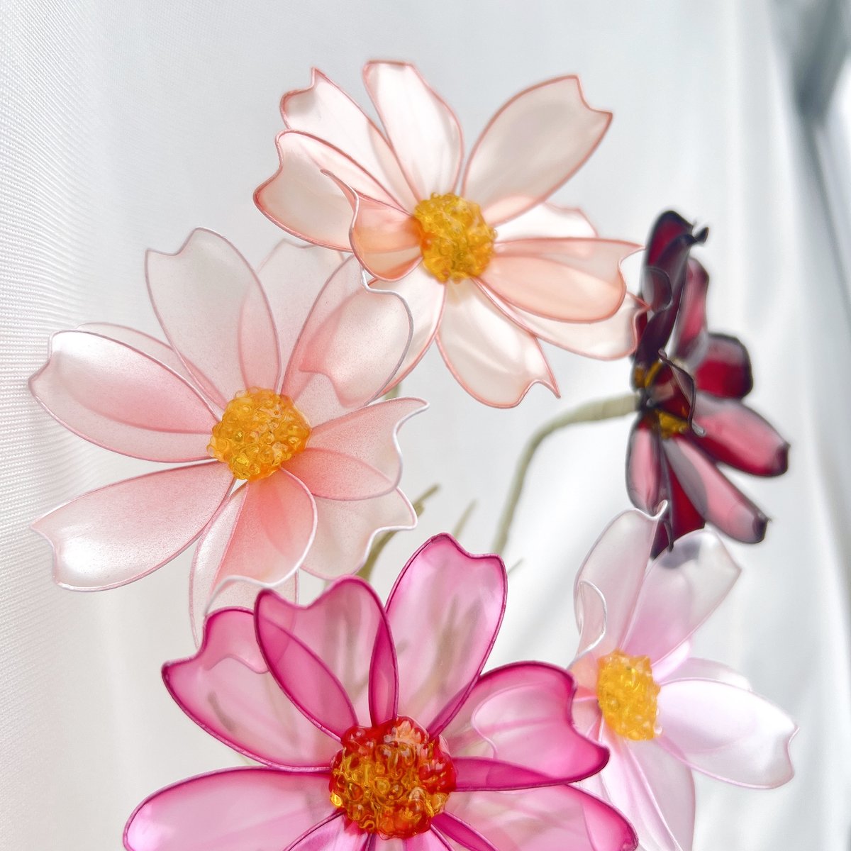 単品販売】コスモス 1本 ※カラー選択必須 | Cuore