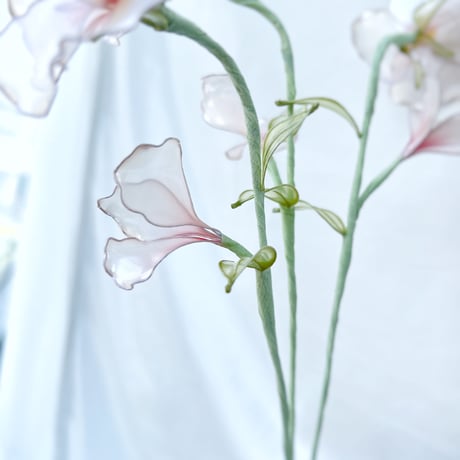 【単品販売】葵の花 1本 f3076