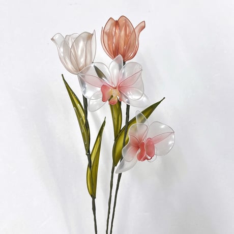 【単品販売】胡蝶蘭 1本 f3080