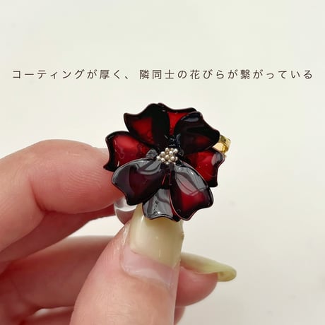 【訳アリ福袋】特別価格・なくなり次第終了