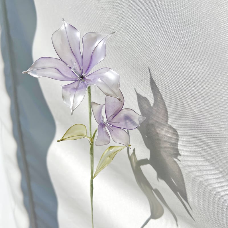 単品販売】桔梗 1本 f3098 | Cuore