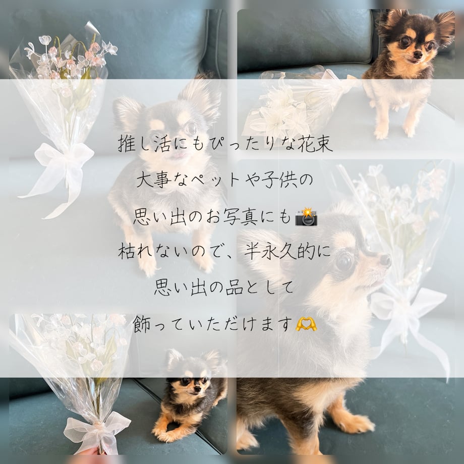 67152e21e5a6e60ec1d96c43