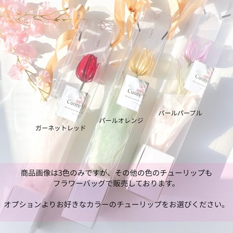 【お得なブーケ】チューリップのフラワーバッグ（チューリップ1本+バッグ）b2054