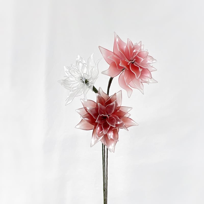 最終価格★精密画★花★額★flower★ボタニカル★西洋★2枚セット★植物画 精密画 花 額 flower ボタニカル アート 西洋 2枚セット 植物画