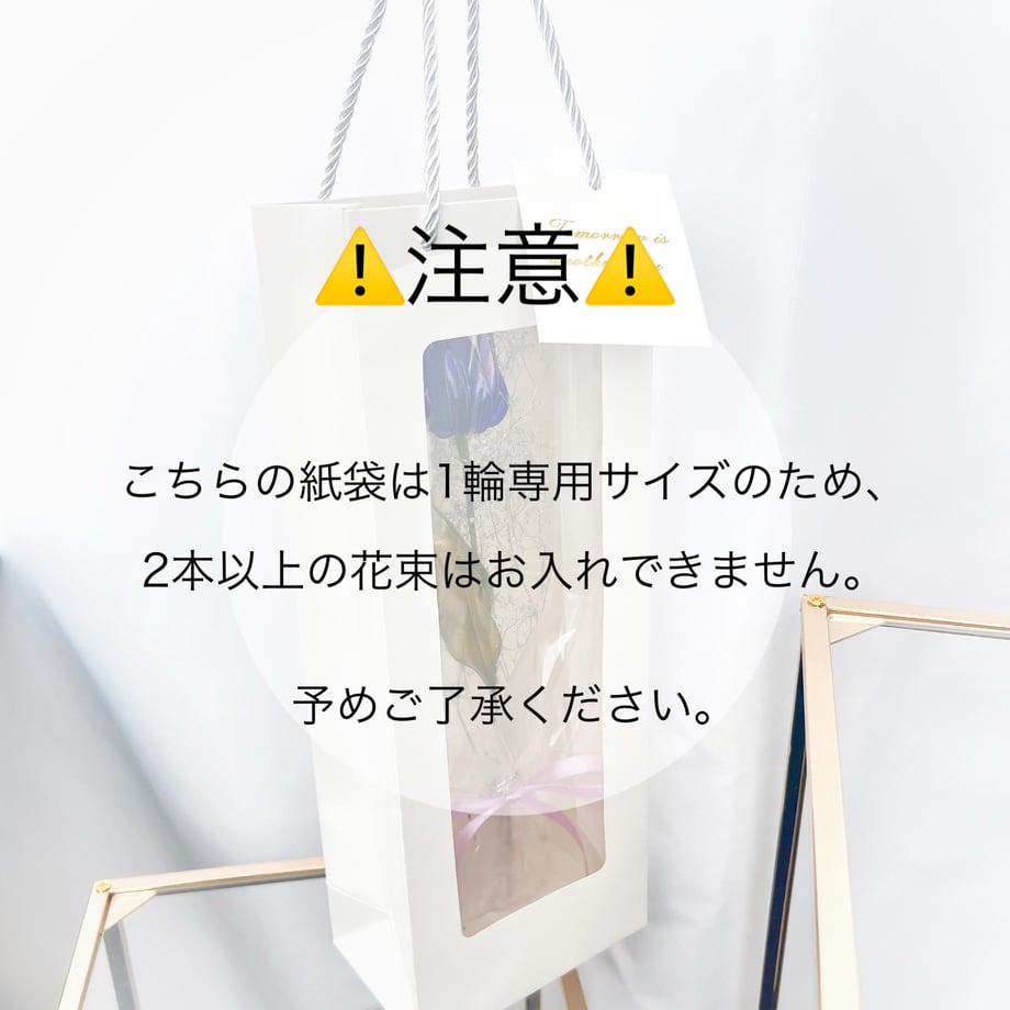 698c89c43d43e44580c22884