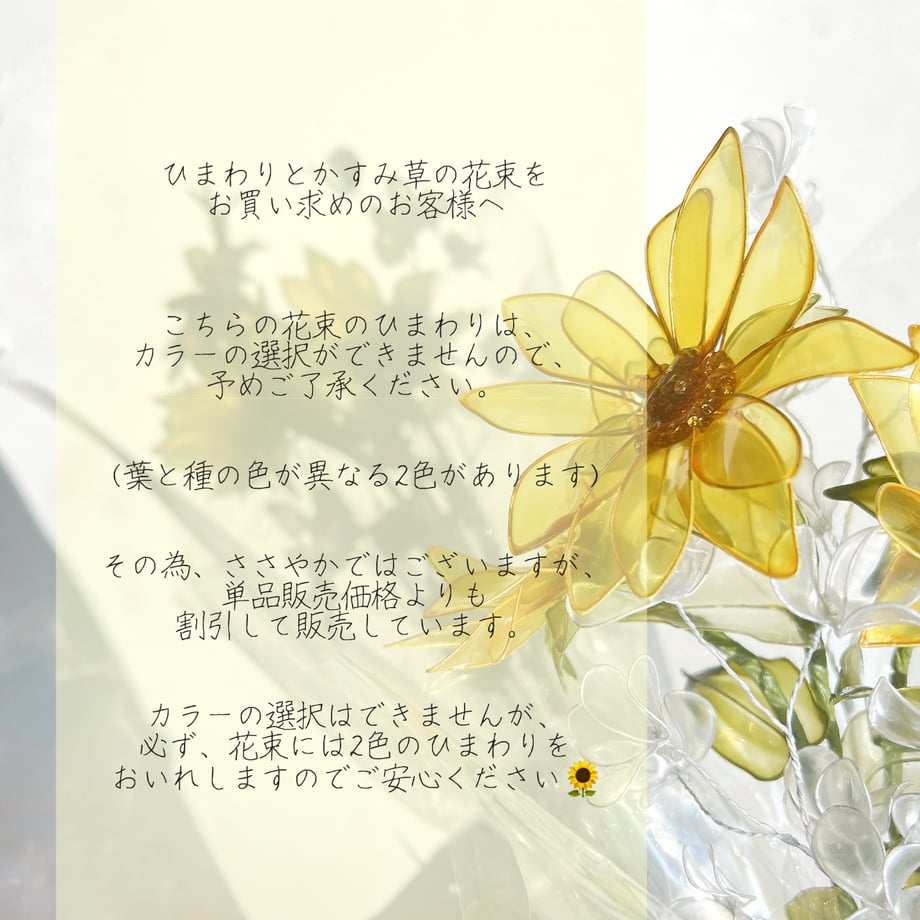 6709f39891f26e27a5736fc1