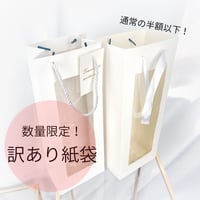 訳アリ価格！【1輪用】紙袋
