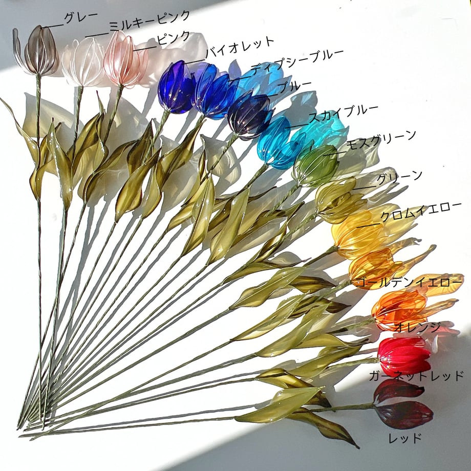 66e587e7155f2d11e8319b26