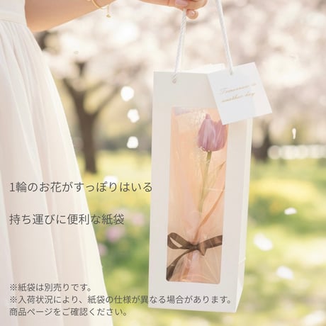 【オーダーブーケ】ギフトにおすすめ♡お好きな1輪とかすみ草の花束 b2043