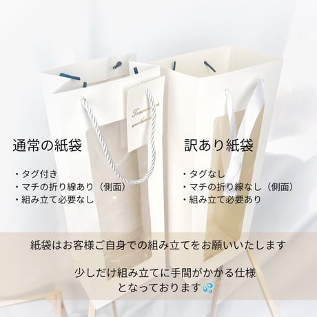 訳アリ価格！【1輪用】紙袋