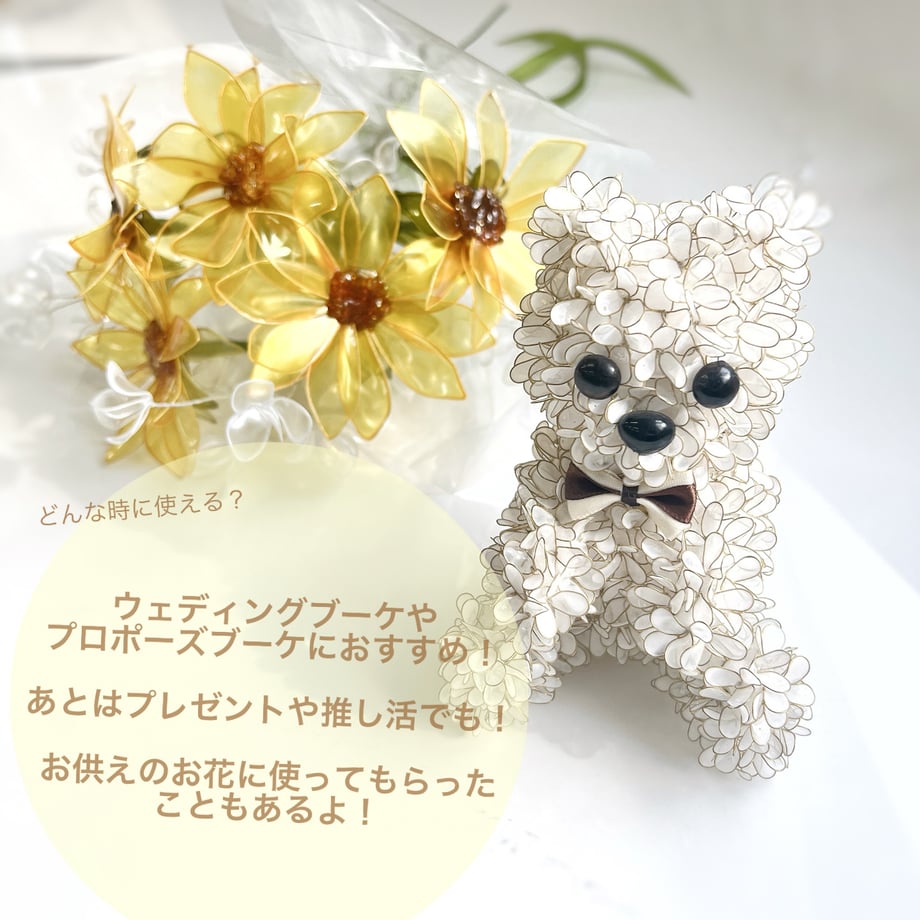 6709f39891f26e27a5736fc1