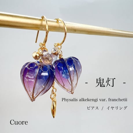 鬼灯　蒼紫(半フープ) p1135