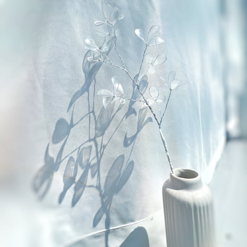 単品販売】かすみ草 1本 f3004 | Cuore
