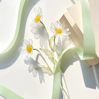 【単品販売】マーガレット（パールホワイ ト） 1本 　f3086