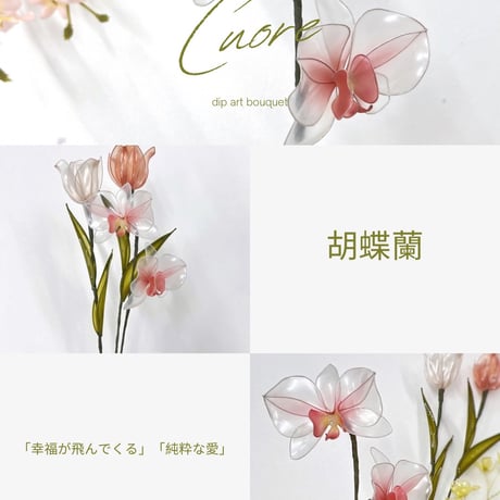 【単品販売】胡蝶蘭 1本 f3080