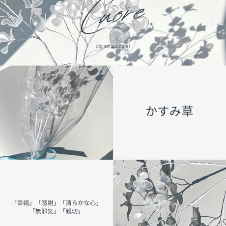 【単品販売】かすみ草 1本　f3004