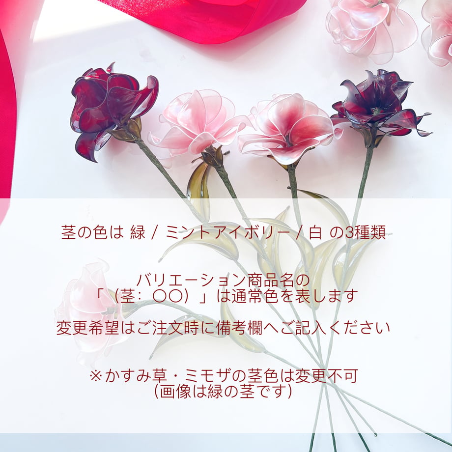 66eda804324c3619e2510593