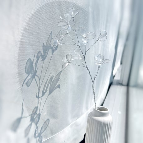 【単品販売】かすみ草 1本　f3004