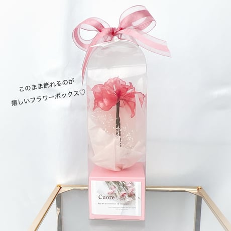 カーネーションのフラワーボックス b2059