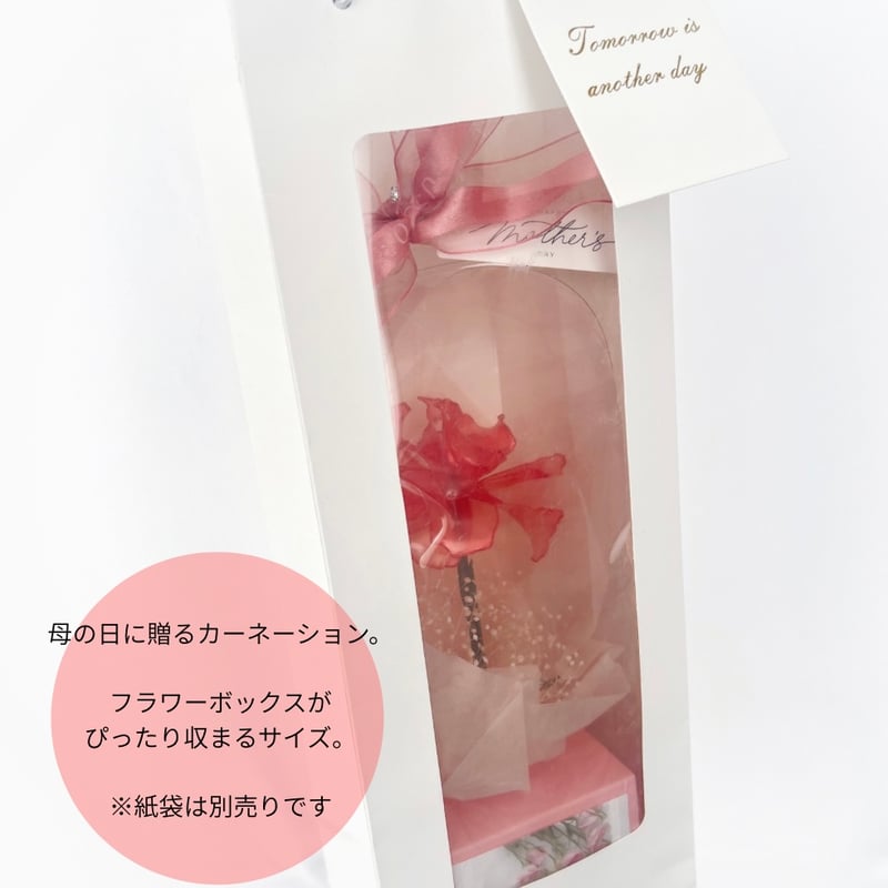 アルバム飾り　カーネーション　オーダー受付中です(^○^) 母の日】カーネーションのフラワーボックス b2059 | Cuore