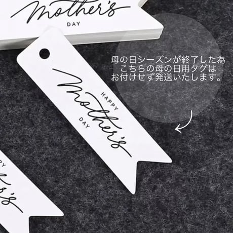 カーネーションとかすみそうのミニブーケb2061 ※紙袋はオプションより選択
