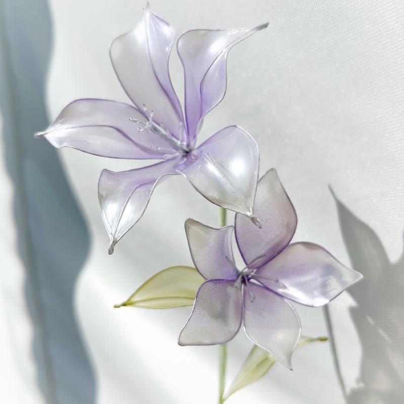 単品販売】桔梗 1本 f3098 | Cuore